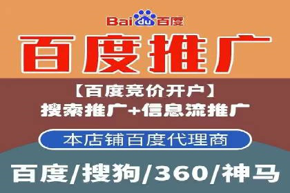 SEM搜索引擎优化：广告创意的策划与执行